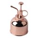 thumbnail image 2 of Beautiful Hand Pressure Watering Can Pot Spray Bottle Indoor Plant Misters Houseplant Accessory, 2 of 5