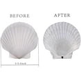 thumbnail image 2 of 4PCS Large Natural Sea Shells for Crafts, 5"-5.5" White Scallop Shells for Home Decor/Beach Weddings – Painting/Crafts (Home Decor, Kitchen, & Other), 2 of 7