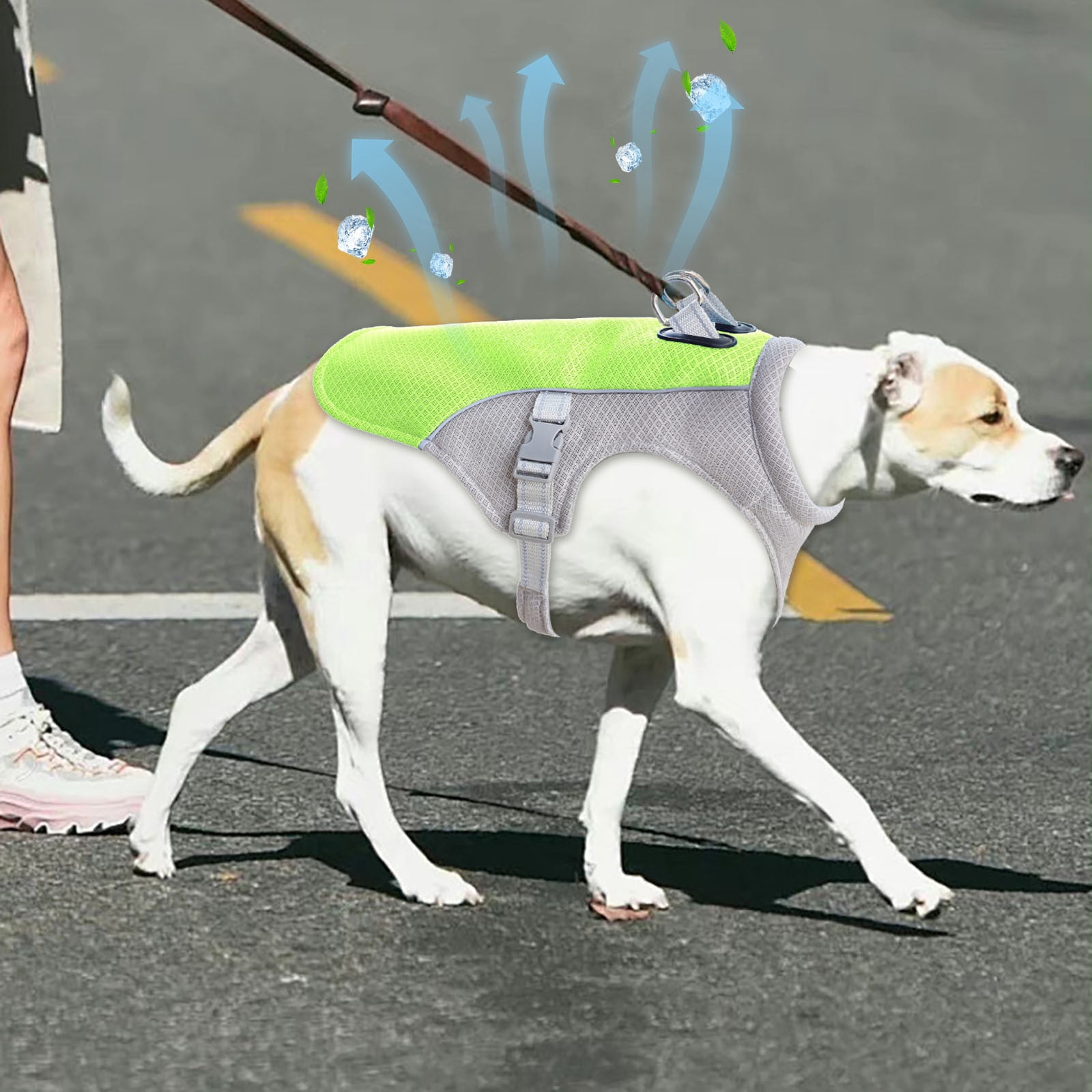 Chest Strap for Dogs Breathable Summer Vest Harness with Adjustable Fit for Small Medium and Large Outdoor Outdoor Use