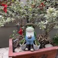thumbnail image 3 of nipocaio Cute Resin Frog Miniature Pendant Paparazzi Creative Gift Garden Swing Chair Desktop microview, 3 of 5