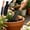 E, variant on Multi Function Wooden Handle Garden Trowel with Storage Sheath, Black Coated Stainless Steel Digging Weeding Knife for Planting Transplanting Yard Gardening Work