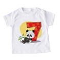 thumbnail image 1 of WEIYLL T-Shirts Garçons Été Manches Courtes Col Rond Panda Imprimé Dessin Animé Mignon Orange Hauts pour Tout-Petits 2-3 Ans, 1 of 4