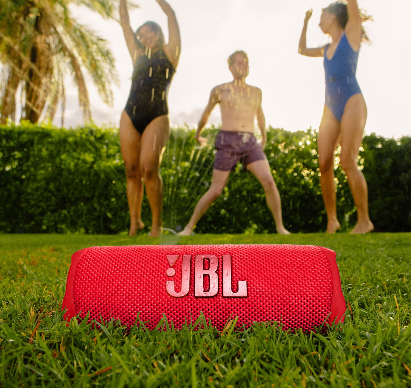 JBL Portable Bluetooth Speaker, Red, JBLFLIP6REDAM-FLIP45CASE