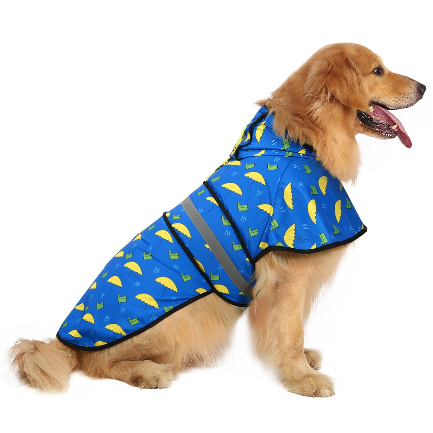 dog in raincoat and boots