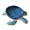 B, variant on Creative Blue Turtles Soap Holder Draining Easy Installation Kitchen Sink Mount With Drain Soap Holder