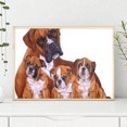 thumbnail image 2 of Wdftyju 5D diamante pintura perro bordado completo redondo taladro DIY Animal punto de cruz artes Wdftyju 3zt9us7wp8tu6gx7, 2 of 9