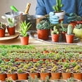 thumbnail image 7 of Childcare Flowerpots 4-inch /6 Inch Plastic Flowerpots, Kindergarten Seed Starting Pots, Flower Plant Containers, for Cutting and Transplanting Succulent Plant Seedlings, 7 of 7