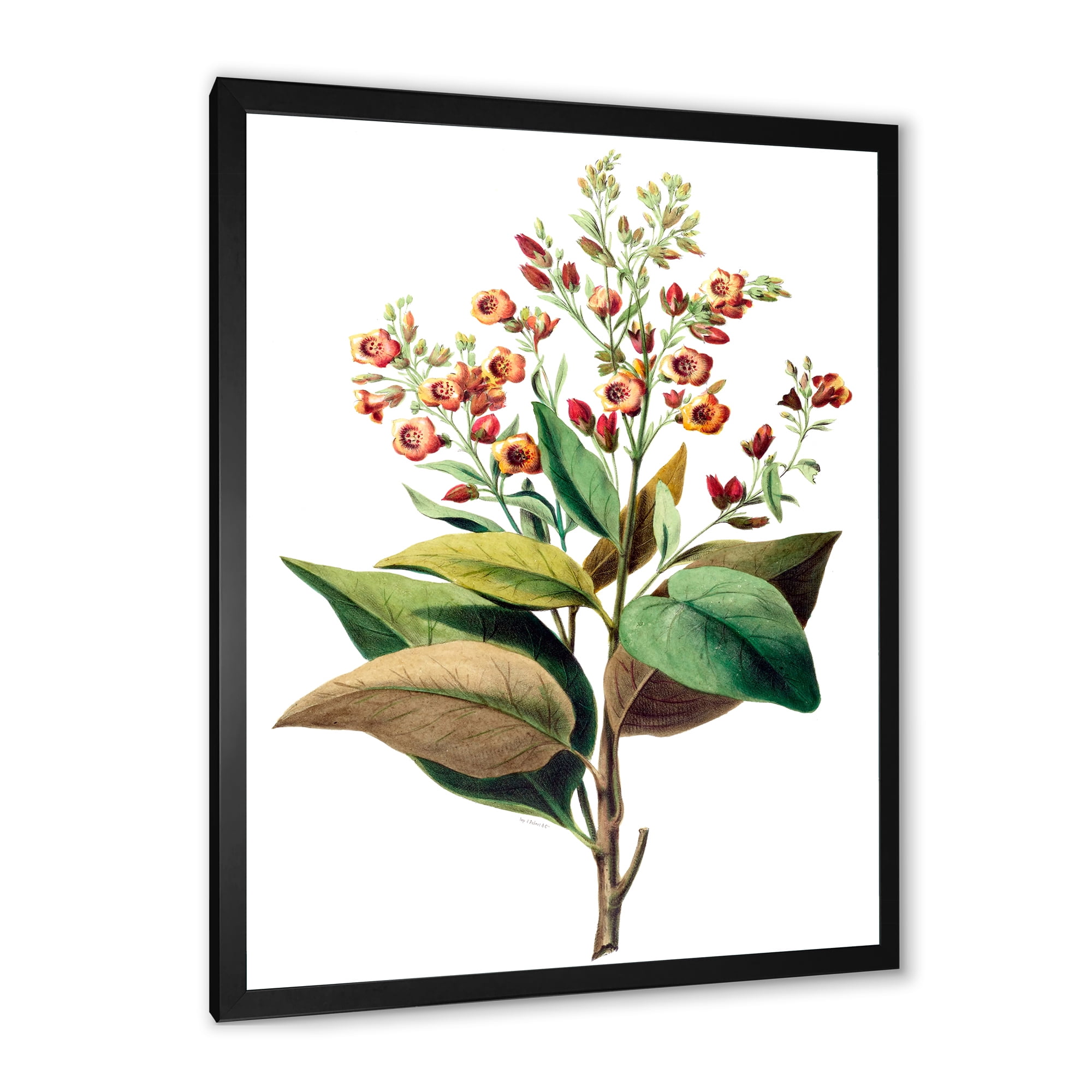 Designart 'American Vintage Flowers II' Traditional Framed Art Print