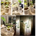 thumbnail image 6 of Manunclaims Clear Self Watering Planter Plastic Plant Pot Wick Flower Pots for Indoor Plants African Violet Ocean Spider Plant Orchid Pot Clear and M L Optional, 6 of 8