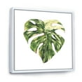 thumbnail image 3 of Designart 'Tropical Green Leaves On White In Summer Times III' Tropical Framed Canvas Wall Art Print, 3 of 5