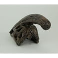 thumbnail image 3 of Statue Fossile Tête de Dinosaure Parasaurolophus Petite, 3 of 4