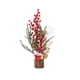 thumbnail image 2 of Puntoco Árbol de Navidad de escritorio Mini árbol de Navidad Decoración de mesa Decoración de ventana del hogar Simulación de árbol pequeño, 2 of 6