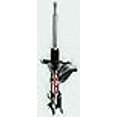 thumbnail image 3 of FCS 331632L Suspension Strut, 3 of 3