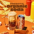 thumbnail image 2 of Daytrip Organic Prebiotic Soda, Root Beer, 6g Fiber & 100% DV Vitamin C, 12 fl oz (Pack of 12), 2 of 5