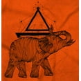 thumbnail image 2 of Spiritual Animal Elephant Triangle Unisex Plus Fleece Graphic Sweatshirt Brisco Brands 2X, 2 of 5