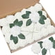 thumbnail image 1 of 50pcs Artificial Rose Flowers with 6 Leaves for DIY Bouquets, Wedding Party, Baby Shower, Home Decor, 1 of 5