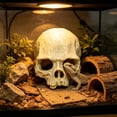 thumbnail image 5 of Resin Reptile Hideout for Tank Realistic Skull Decor for Terrarium Decorative Skeleton Head Hides and Caves for Fish Ball Python Axolotl Tarantula Beige#, 5 of 6