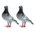 thumbnail image 2 of Simulation Pigeon Ornaments Artificial Dove Animal Artificial Foam Bird Mini Fake Birds for Kids Garden Decor Easter Gifts Party Favors 2pcs Style B, 2 of 10