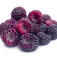 thumbnail image 3 of 2 Raspberry Plants Live For Planting, Raspberry Bush Live Plants, Size 5-8 Inch Tall, Sweet Raspberry Trees, Well-Rooted (Glencoe Raspberry), 3 of 6
