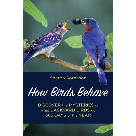 How Birds Behave : Discover the Mysteries of What Backyard Birds Do 365 Days of the Year (Paperback)