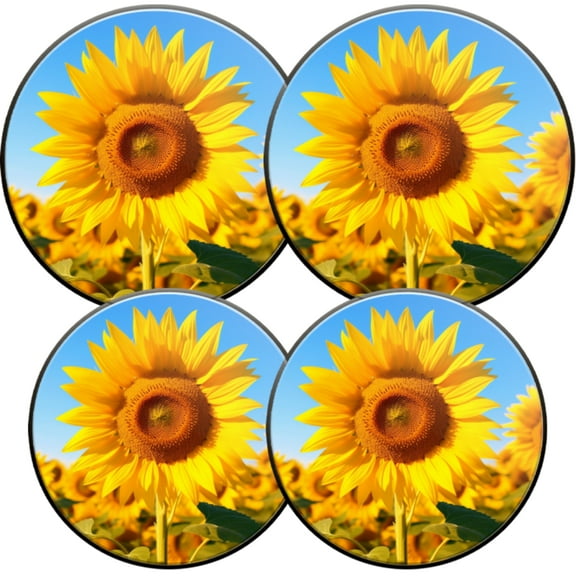 Gas Stove Burner Cover,Electric Stove Top Protector,Easy to Clean,Sunflower against a Blue Sky in a Field