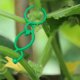 thumbnail image 3 of Clip de encuadernación de soporte de vid para plantas de jardín Ndcxsfigh Clip de invernadero de jardinería (S 20 piezas), 3 of 5