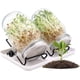 thumbnail image 1 of Germinador de semillas de vidrio, germinador de semillas de vidrio con tapas de acero inoxidable, bandeja, 2 vasos de germinación de 32 oz para cultivar alfalfa y brotes de frijol mungo, 1 of 5