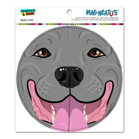 

Pit Bull Face Blue Nose Pitbull - Close up Pet Dog Circle MAG-NEATO S(TM) Car/Refrigerator Magnet