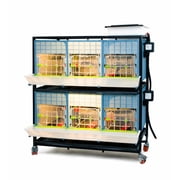 Hatching Time Chick Brooder - 2 Layer H: 15 (Power-Washable, Durable, ABS Plastic) | Cimuka