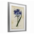 thumbnail image 2 of Stupell Industries Shabby Chic English Botany Blue Floral Gray Framed Print Under Glass, 13 x 16, by Susan Arnot, 2 of 8