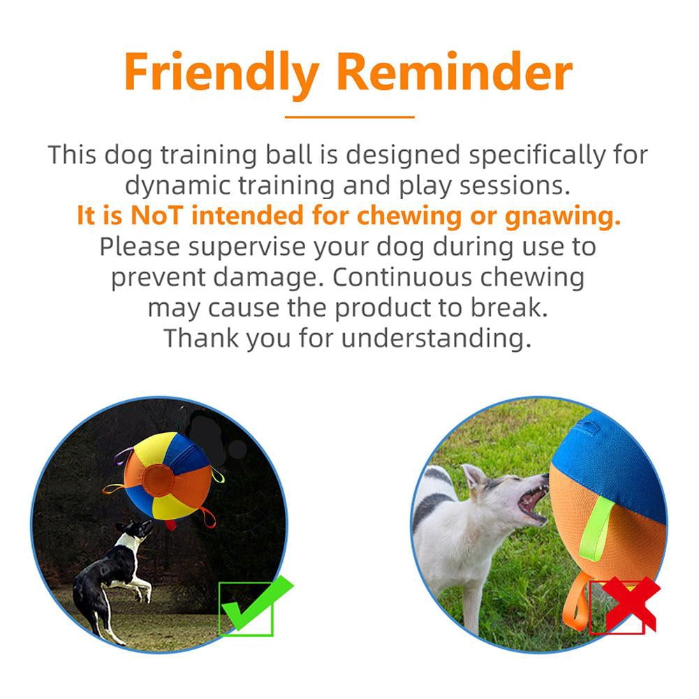 Dog Toy Ball with Straps, 9.84'' High-Bounce Fetch Ball for Small Medium Large Dogs, Interactive Pet Play Toy for Indoor Outdoor Training