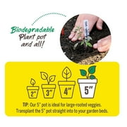 Jiffy Organic Seed Starting Biodegradable Peat Pots - Breathable - 100 Pack, 5 in Diameter