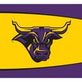 thumbnail image 2 of Minnesota State Mavericks 7' x 8' 2-Piece Logo Split Garage Door Decor, 2 of 4