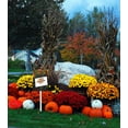 thumbnail image 3 of Eveokoki Fall Harvest Aluminum Happy Thanksgiving Day Stakes Yard Decorations 17.6''H, Home Garden Patio Lawn Yard Decor Fall Harvest Thanksgiving Outdoor Decorations, 3 of 5