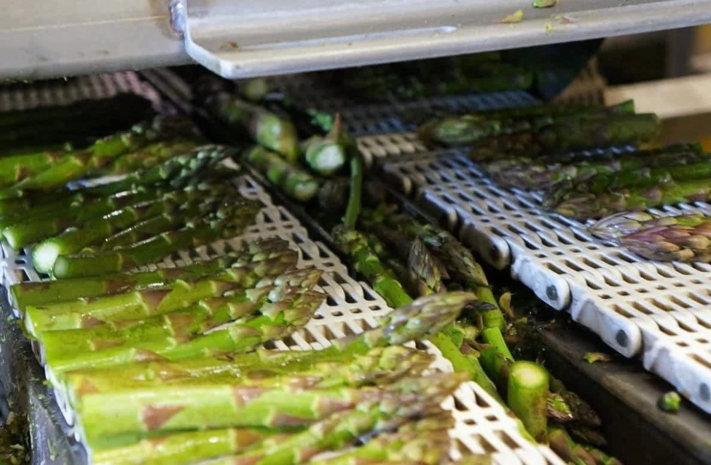Foster’s Pickled Asparagus- Variety Pack- 16oz- (2 Pack)- Red Pepper and Jalapeño- Pickled Asparagus Spears- Pickled Vegetables Recipe for 30 years - Gluten Free - Fat Free- NO Preservatives