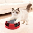thumbnail image 3 of Cats Teasing with Scratch Pad with Track Interactive Multicolored Circuit with Track Cats, 3 of 4