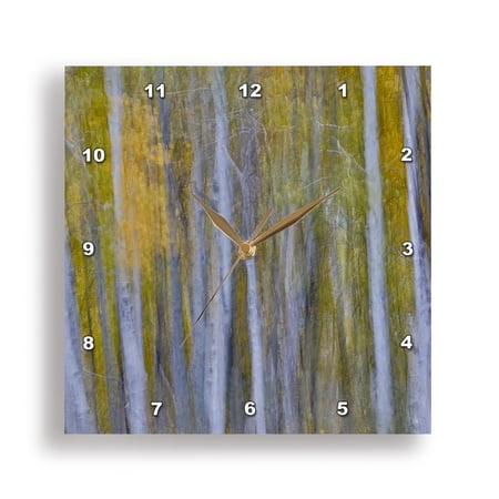 3dRose, California, June Lake. Aspens in Fall golden color, blur motion, 15x15 Wall Clock