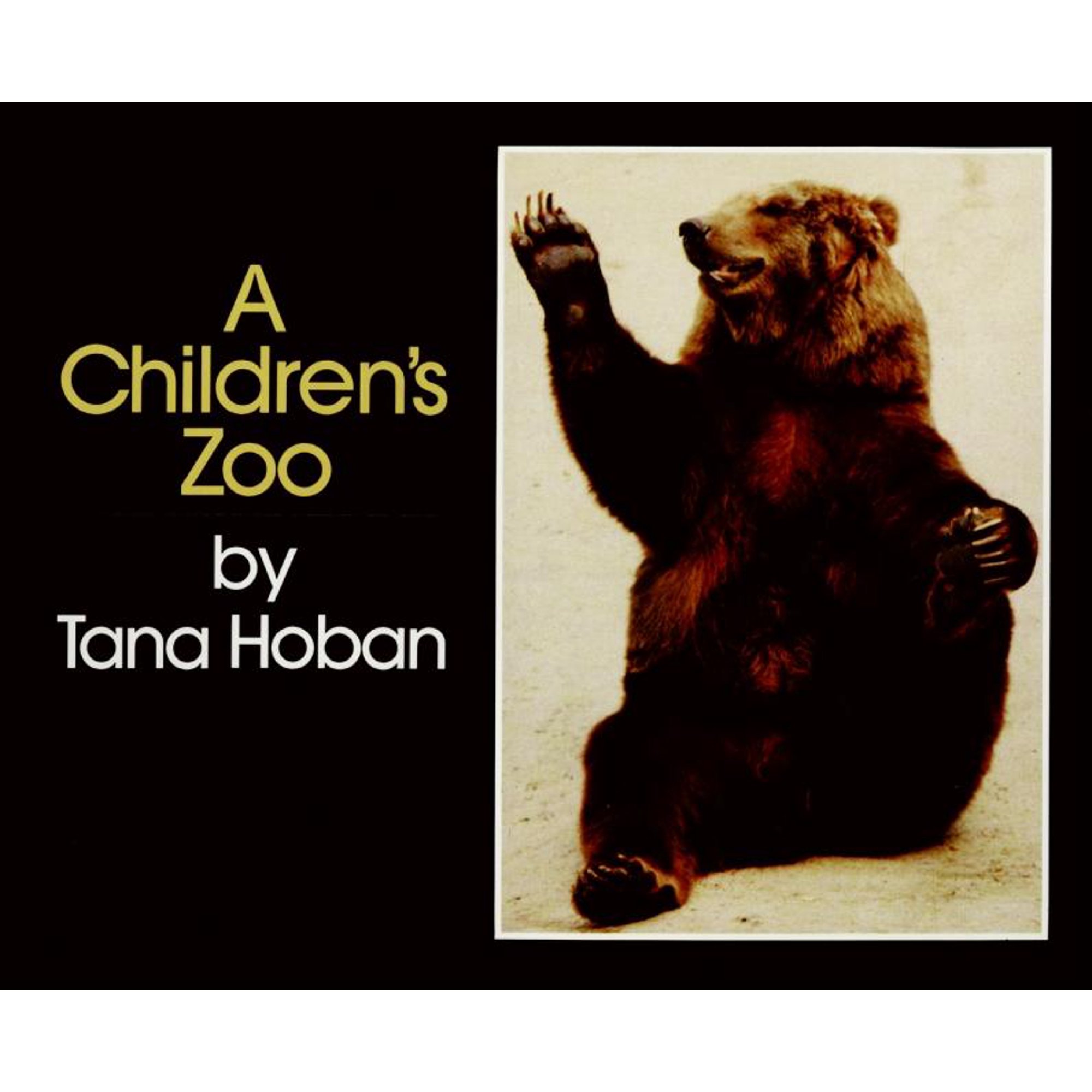A Children's Zoo (Hardcover)