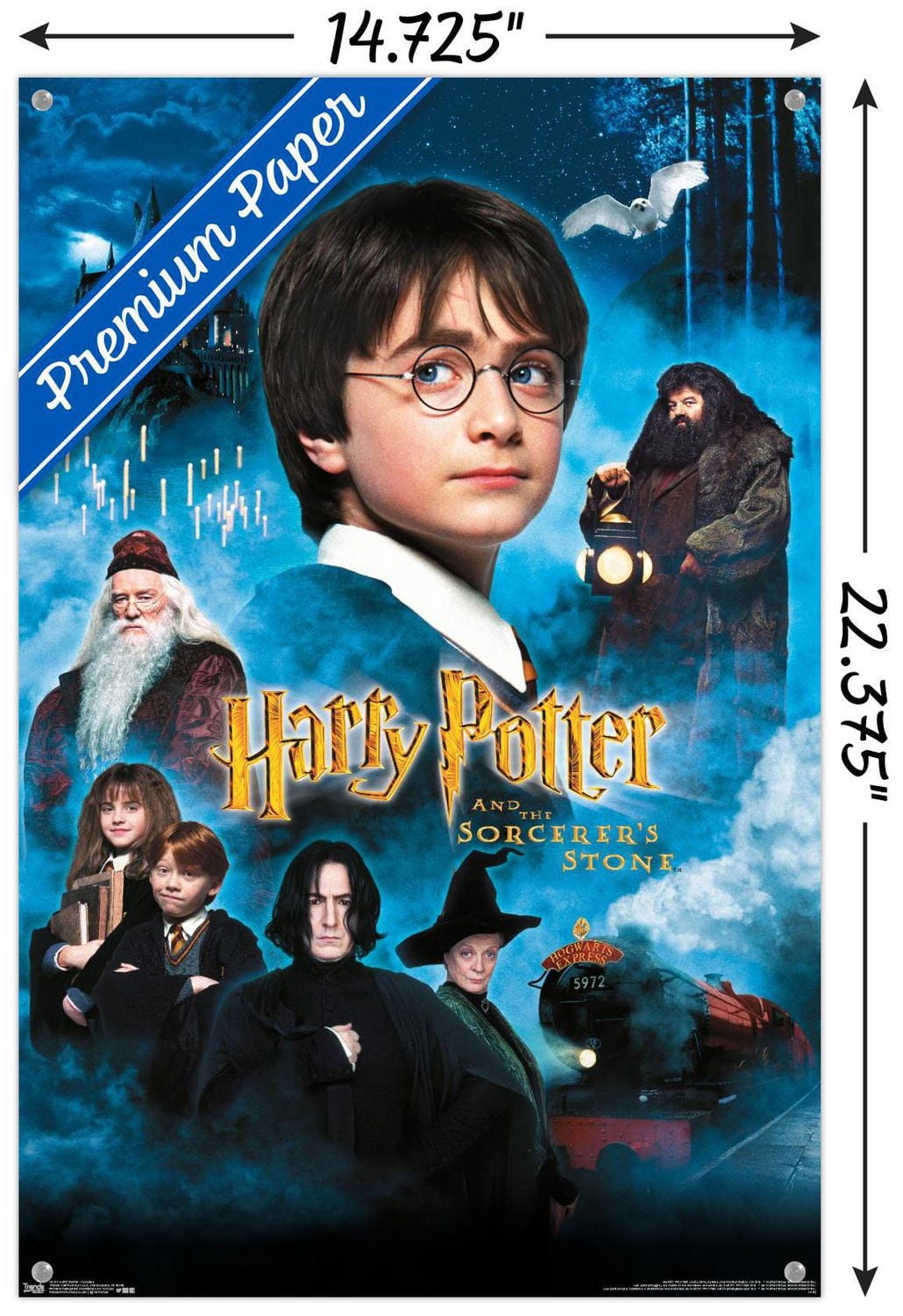 Harry Potter and the Sorcerer's Stone - Candles One Sheet Wall Poster, 22.375" x 34"