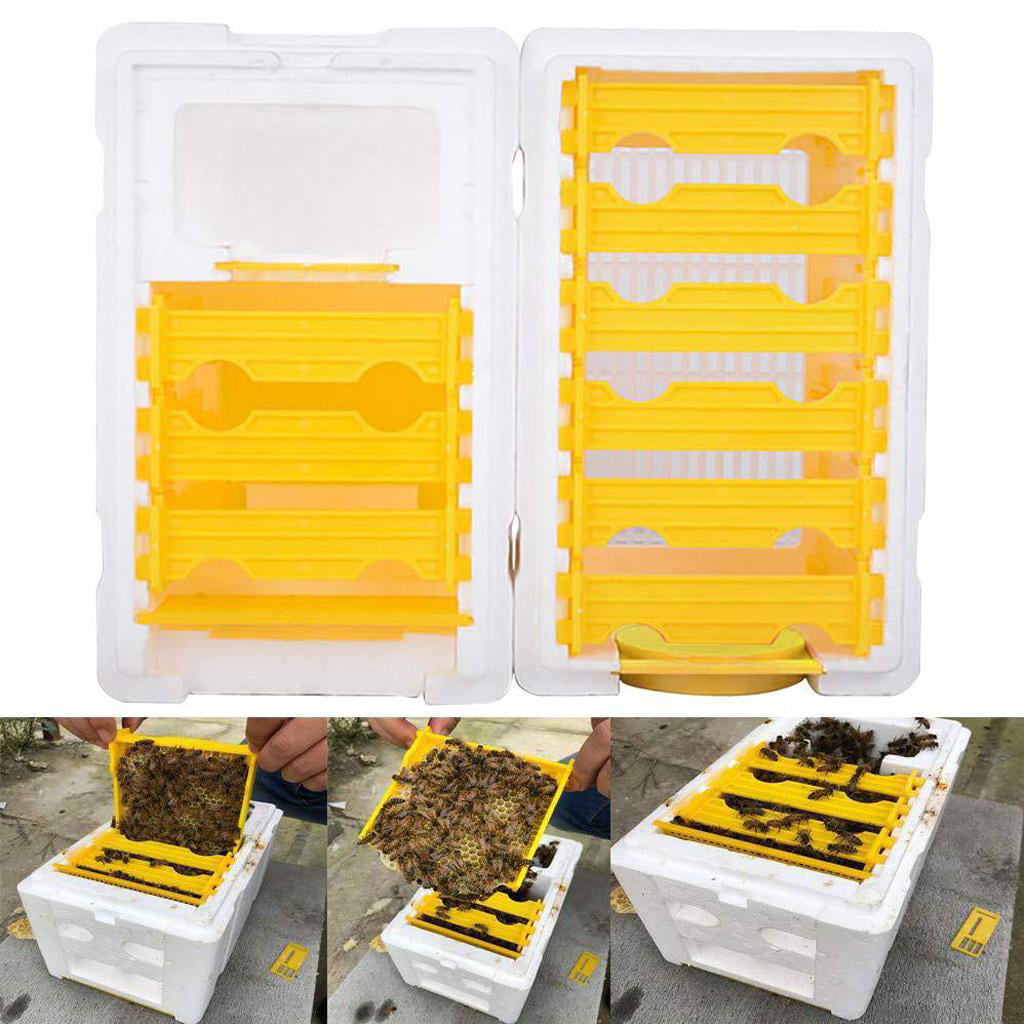 Details about   1pc Foam Beehives Bee Tail Box Frames Sets Queen Mating Box Apiculture Tools 