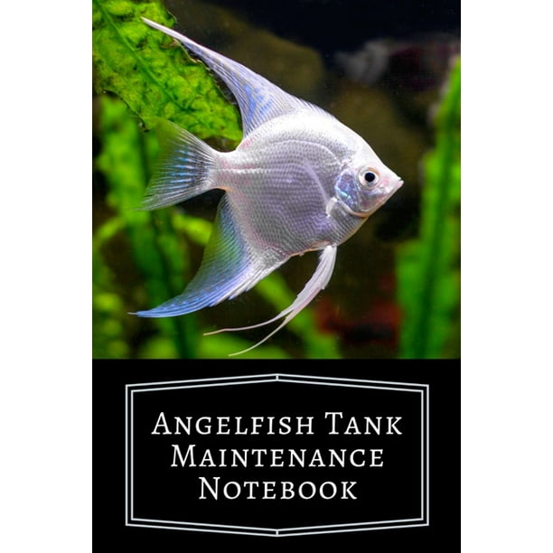 Angelfish Tank Maintenance Notebook Customized Compact Aquarium