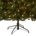 thumbnail image 3 of Árbol de Navidad, National Tree Company, North Valley Spruce, 7 pies, 3 of 5