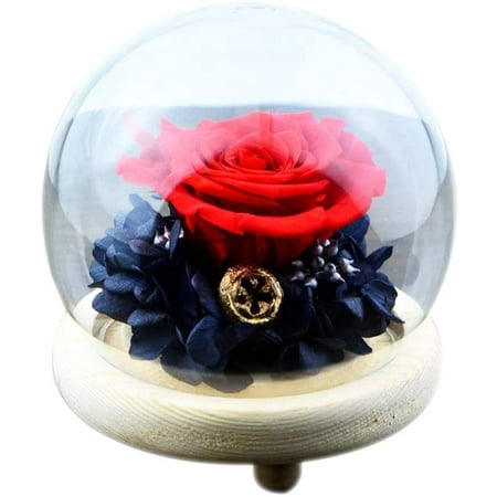 Red Real Enchanted Rose Kit Forever Preserved Rose Flower Everlasting ...