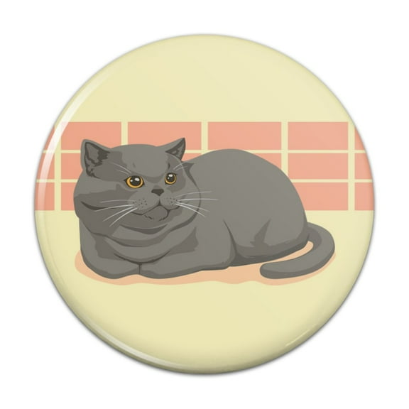 Chubby British Short Hair Grey Cat Pinback Button Pin