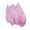 Pink, variant on Lynono Co.,Ltd 100Pieces Craft Plumage With Rainbow Detail Home Decoration Fashion And Event Styling
