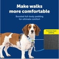 thumbnail image 3 of Arnés para perro PetSafe Easy Walk Comfort anti-tirones azul talla S/M, 3 of 8