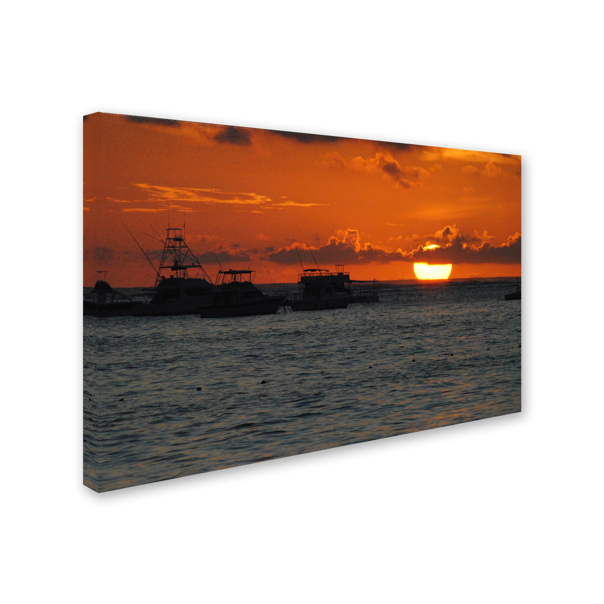 Trademark Fine Art "Never Distant" Canvas Art by Monica Mize