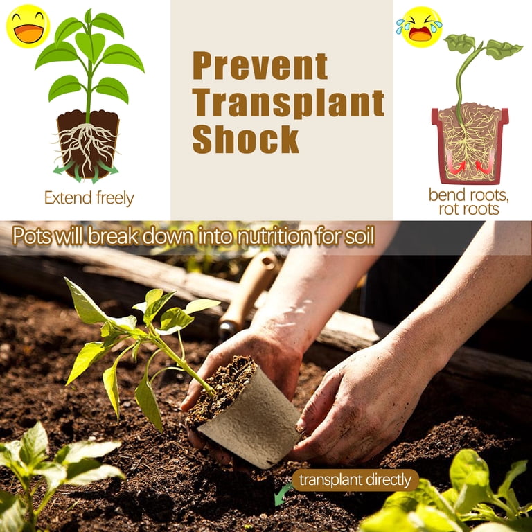 Fabulas Biodegradable Peat Pots for Seedlings, 120 Pack photo 5