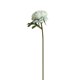 thumbnail image 2 of Rosa de té simulada de temporada rosa, no se marchita, no se decolora, no necesita riego, resistente a la intemperie, fácil de cuidar, rosa de té falsa de una sola cabeza de 29 cm, decoración para el, 2 of 8