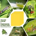 thumbnail image 5 of Lantuu 10-Pack Yellow Sticky Traps, Double-Sided Waterproof Insect Catcher, Non-Toxic Glue Traps for Flying Insects, Fungus Gnats, Fruit Flies, Aphids, Thrips, for Indoor/Outdoor Plants, 5 of 6